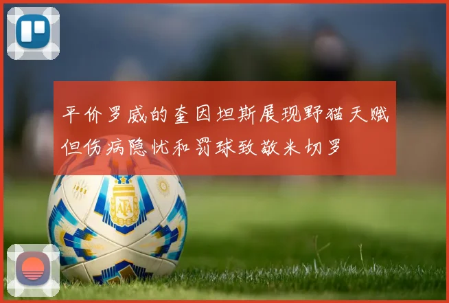 平价罗威的奎因坦斯展现野猫天赋但伤病隐忧和罚球致敬米切罗
